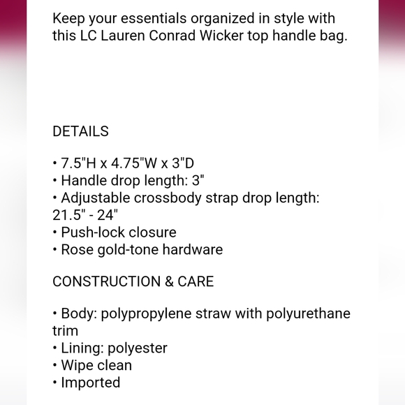 LC Lauren Conrad wicker crossbody bag NWT - Picture 6 of 6